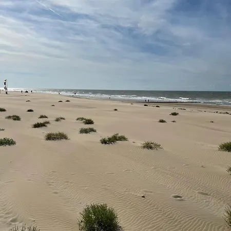 Ground Floor Sea View In Raversijde, *