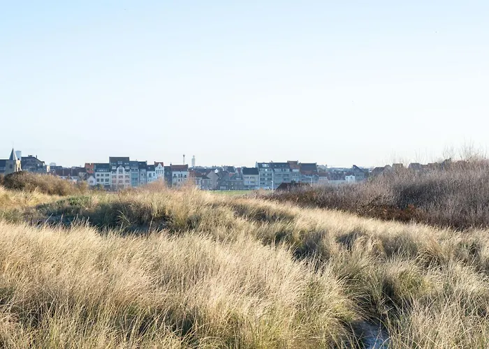 Ground Floor Sea View Raversijde Lets Go Getaways Ostenda